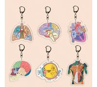 1 pièce Porte-clés charm de sac infirmier en acrylique avec design anatomique de cœur, cerveau, corps, globe oculaire, poumons. Idéal pour les professionnels de la santé, les aidants et les cadeaux de
