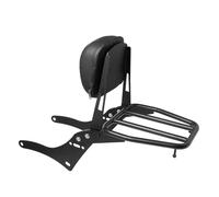 1 Pièce pour CMX pour Rebel 300 500 CMX300 CMX500 2017-2023 Dosseret Passager Arrière Amovible avec Porte-Bagages Sacoche Support