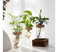 1 pièce, Vase en verre de plante d'hydroculture de bureau pour la décoration de la maison, station de propagation des plantes, vase à bourgeons, vases de plantes d'hydroculture de bureau pour la décor