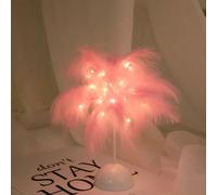 1 pièce Veilleuse décorative LED avec plumes roses et blanches, lampe de table chaude et romantique pour la chambre à coucher, le salon 1 veilleuse en plumes roses.,1 veilleuse en plumes blanches.Poly