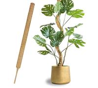 1 Pièces 70cm*4CM tuteur Plante grimpante,tuteur Plante Interieur,tuteur Plante,Tuteurs pour Plantes,pour Plantes de Jardin Intérieur et Pots