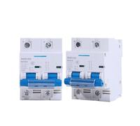 1 pièces disjoncteur cc 2P Micro interrupteur de Protection 12v-125v 80A/100A/125A/150A/200A/250A batterie solaire(100A)