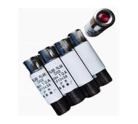 1 pièces Fusibles RL8B RL98 RL98-32 1A 2A 3A 4A 5A 6A 10A 12A 16A 20A 25A 30A 32A 500V D02 10mm * 38mm/Base : RL8B-32 RL98-32A(RL8B 2A 500V 10X38)