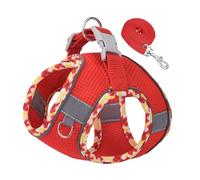 1 pièces harnais pour chien pour petits, moyens et grands chiens, ensemble harnais et laisse pour chiot sans traction, harnais pour chien pour la marche, la course à pied, l'entraînement, petit (F, M)