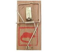 1 PIEGE TAPETTE A RAT SOURIS RONGEUR 17 X 8 CM BOIS METAL