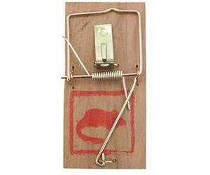 1 PIEGE TAPETTE A RAT SOURIS RONGEUR 17 X 8 CM BOIS METAL