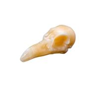 1 pierre de cristal naturelle en forme de corbeau sculpté en obsidienne quartz décoration d'intérieur cadeau