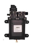 1 pompe à eau électrique 12 V for pulvérisateur agricole, double cœur, auto-amorçante, haute pression, accessoires for machine à pesticides(C)