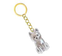 1 Porte-clés commémoratif pour cendres et cheveux d ' animaux de compagnie Vitrine transparente avec porte-clés pour le souvenir de la perte Porte-clés commémoratif pour chien avec boîte de rangement