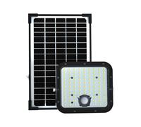 1 pz 30W LED Solar Floodlight LiFePo Battery Black 4000K