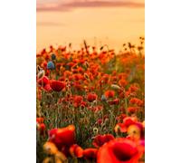 1: Ready to be filled with Memories and Thoughts 6x9 150 Paes, 130 Lined and 20 Blank for Notes and Photos