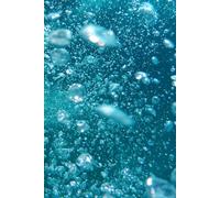 1: Ready to be filled with Memories and Thoughts, 6x9 150 Pages, 130 Lined and 20 Blank for Notes and Photos