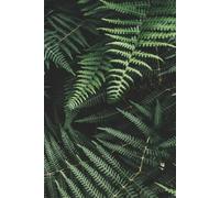 1: Ready to be filled with Memories and Thoughts, 6x9 150 Pages, 130 Lined and 20 Blank for Notes and Photos