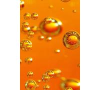 1: Ready to be filled with Memories and Thoughts, 6x9 150 Pages, 130 Lined and 20 Blank for Notes and Photos