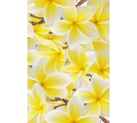 1: Ready to be filled with Memories and Thoughts, 6x9 150 Pages, 130 Lined nd 20 Blank for Notes and Photos