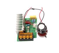1 régulateur de tension électrique SCR 4000 W 0-220 V AC régulateur de vitesse régulateur de vitesse avec sécurité de température