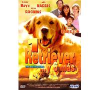 1 Retriever… y 6 más [Import]