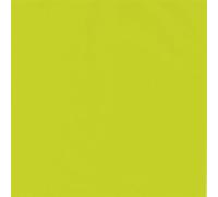 1 Rouleau de Papier Cadeau Citron Vert 70cmx200m - Emballage Cadeau en Papier Unicolore Lisse pour Cadeaux d'Anniversaire, Noël et autres Occasions Spéciales
