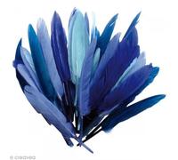 1 sachet de 10 grammes de Plumes d'indien - Camaïeu Bleu