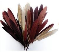 1 sachet de 10 grammes de Plumes d'indien - Camaïeu Chocolat