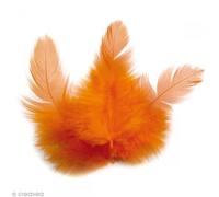 1 sachet de 3 grammes de Plumes de coq - Orange
