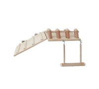 1 Set Échelle Rampe Hamster Trampoline Perroquet Jeu