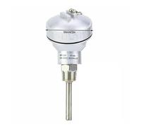 1 sonde de température RTD PT100, filetage 1/2", tête de borne de thermocouple, tube de protection, longueur 50-400 mm, plage de température -200~420 °C(300mm)