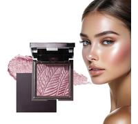 1 Stück Poudre Illuminateur Argentée, Correcteur Scintillant et Poudre Contour, Éclat Longue Durée pour Joues, Yeux et Nez, Parfait pour Looks Lumineux (01#)