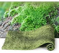 1 Tapis Tapis Reptile Terrarium Liner Mat Substrat de litière pour Tous Les Types de Geckos Terrarium Nourriture pour Reptiles, Serpents, Tortues, lézardsDurabilité