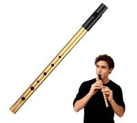 1 Tin Whistle Irlandais e Ré, Flûte en Alliage d'Aluminium, Son Celtique Traditionnel, Durable et Légère, Facile à Jouer pour Débutants et Écoliers