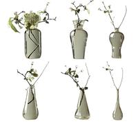 1 Vase en Verre Transparent for Bouteille de Plante, à Fleurs, Simple, hydroponique, Salon, Table, Pot décoratif(Color-05)