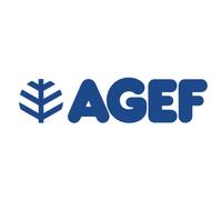 1 X ACIER/BORE PEUPLIER MM 290X280 GR 1360 PELLE POINTUE EN BOIS EXTRA LÉGÈRE AGEF