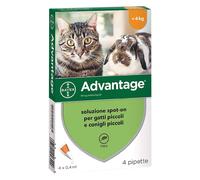 1 X PESTICIDE AVANTAGE SPOT-ON 4 kg - 4 pipettes 0,4 ml