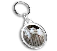 1 x porte-clés photo - Chèvre blanche mignonne | Porte-clés | Breloque | #44815, multicolore, M
