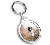 1 x porte-clés photo - Happy Border Collie Puppy Dog | Porte-clés | Breloque | #45286, multicolore, M