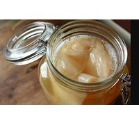 1 X Scoby de Kombucha Bio - Culture vivante par Scoby Kombucha, Édition Limitée