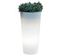 1 X VASE SOLAIRE FICUS ROND D 29X60 RGB AVEC