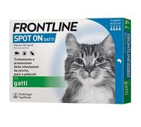 1 XCHATS SPOT-ON DE FRONTLINE (3+1)