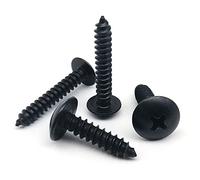 10/20/50pc M2.2 M2.9 M3.5 M3.9 M4.2 M4.8 Noir 304 Acier Inoxydable Croix Grande tête Ronde vis à Bois autotaraudeuse(20pcs M3.9x6.5mm)