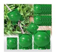 10/20 Pcs Vert boîte de greffe de Plantes Boule Propagation des Racines Usine Boule de greffage à Propagation racinaire marcottage aérien enracinement Boule de Croissance Petit Motte