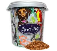 10-25 kg Lyra Pet® Leinsamen 10 kg en Tonne