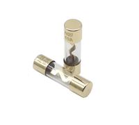 【10-2PCS】10 * 38MM Gold Plated Glass AGU Fuse Fuses Pack Car Audio Amp Amplifier 10 15 20 25 30A 40A 50A 60A 70A 80A 100A Car Fuse(2PCS_30A)