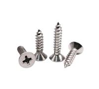 10/50pcs Petit M1 .2 .4 M2 .6 M3 M4 M5 M6 304 A2 En Acier Inoxydable Croix Plate Tête Fraisée Bois Vis Autotaraudeuses(22mm,10pcs M5.5)