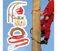 10 8 6 4 2 1 Boucle de pied d'escalade pour arbre grimpant, griffe tranchante, ensemble d'outils d'escalade en plein air pour la cueillette des fruits, noix de coco/chasse, observation, capacité de