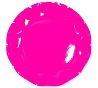 10 assiettes plates rose flashy 21cm Rose G