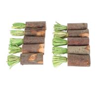 10 bâtonnets à mâcher comestibles pour lapins - Sans danger, préviennent les calculs urinaires, en feuilles