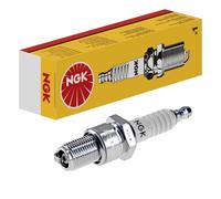 10 Bougies D'Allumage M14 x 1,25 Connexion SAE Fixe NGK Pour Entre Autres NISSAN