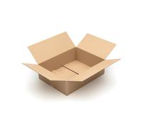 10 cartons 650 x 500 x 200 mm pour expédition DPD et DHL C-ondulation