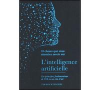 10 choses que vous aimeriez savoir sur l'intelligence artificielle Les principes fondamentaux de l'IA en un clin d'oeil - Tim Rocktäschel - Quanto - broché - Essai