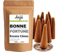 10 Cônes Encens Senteur Bonne Fortune - Encens Cône 100% Naturel Relaxation Méditation Purification + Brûleur Porte Encens Offert - NCA